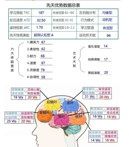 皇家迪智尼 I 营销赋能益智玩具乐园结合天赋测评！