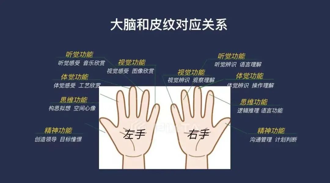 皇家迪智尼 I 营销赋能益智玩具乐园结合天赋测评！