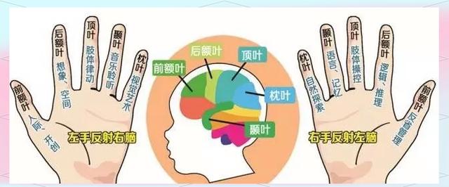 皇家迪智尼 I 解锁八大智能天赋从皮纹测评开启！